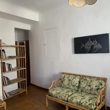 Vecchia Volta New