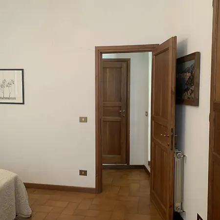 Vecchia Volta New *