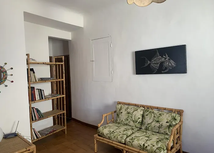 Vecchia Volta New