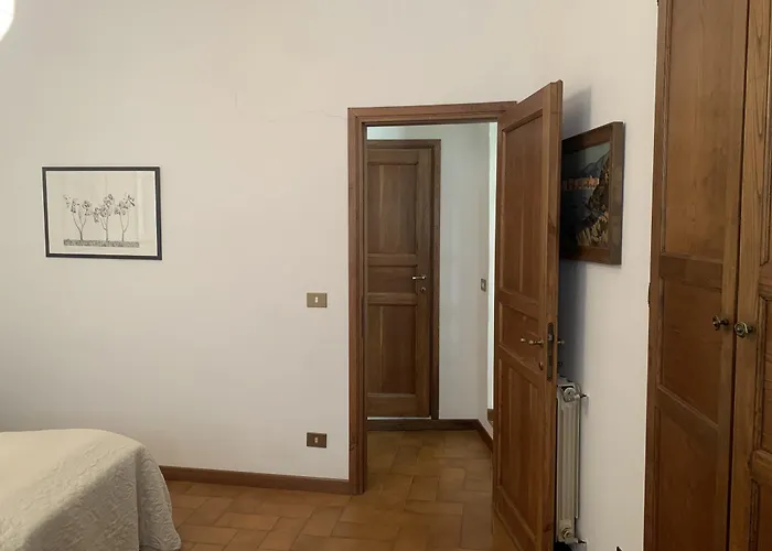 Vecchia Volta New *